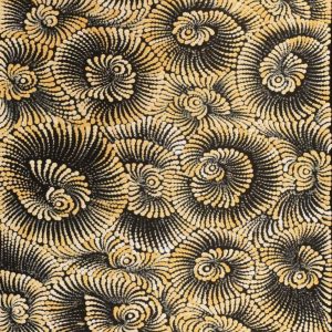 Pamapardu Jukurrpa (Flying Ant Dreaming)  - Warntungurru by Maria Nampijinpa Brown