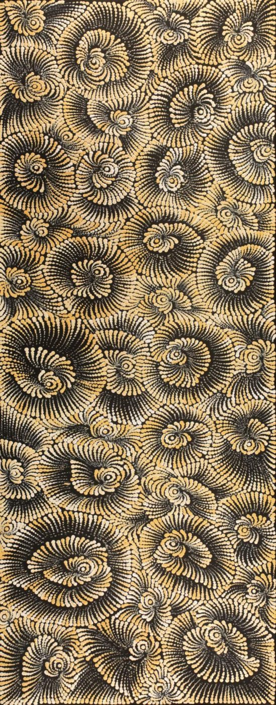 Pamapardu Jukurrpa (Flying Ant Dreaming) - Warntungurru by Maria Nampijinpa Brown
