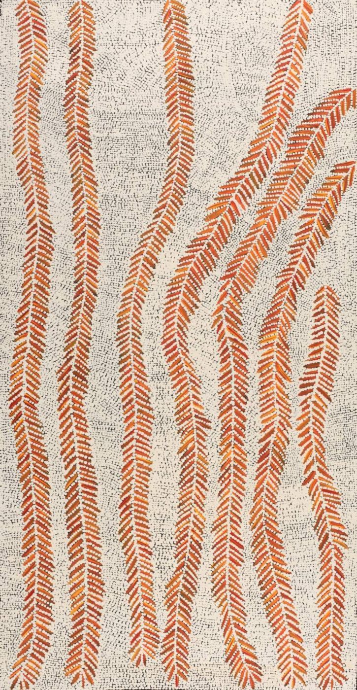 Karnta Jukurrpa (Women's Dreaming) - Bush Medicine by Patricia Nakamarra Oldfield