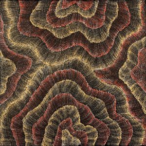 Wanakiji Jukurrpa (Bush Tomato Dreaming) by Debbie Napaljarri Brown