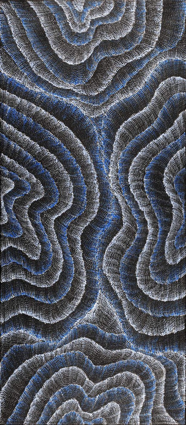 Wanakiji Jukurrpa (Bush Tomato Dreaming) by Debbie Napaljarri Brown