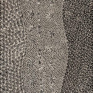 Pikilyi Jukurrpa (Vaughan Springs Dreaming) by Mary Napangardi Butcher