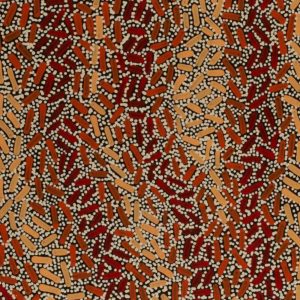 Warlukurlangu Jukurrpa (Fire country Dreaming) by Nathania Nangala Granites