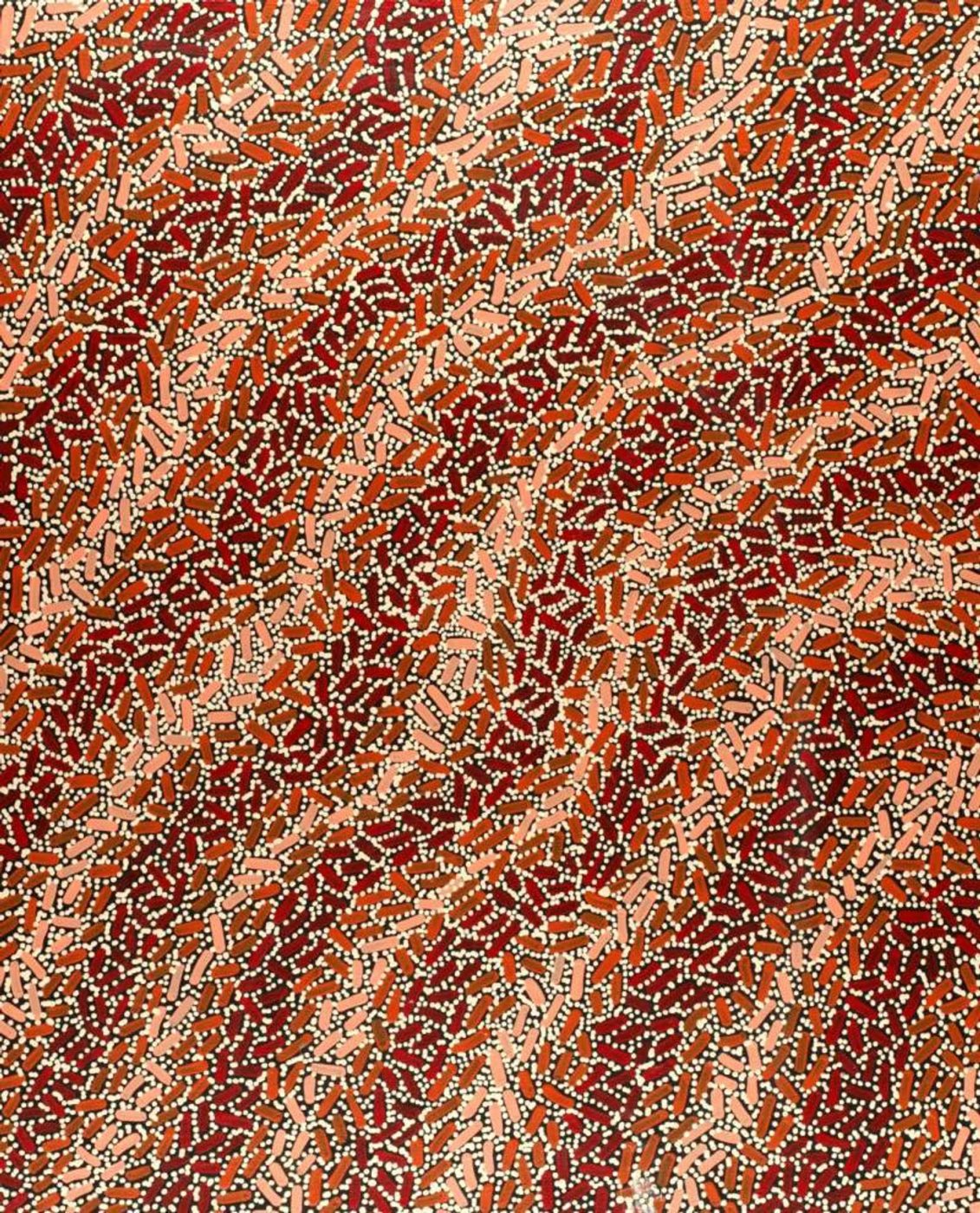 Warlukurlangu Jukurrpa (Fire country Dreaming) by Nathania Nangala Granites