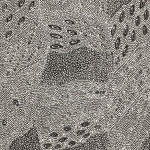 Pikilyi Jukurrpa (Vaughan Springs Dreaming) by Mary Napangardi Butcher