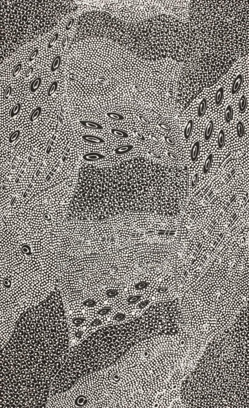 Pikilyi Jukurrpa (Vaughan Springs Dreaming) by Mary Napangardi Butcher