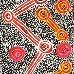 Ngapa Jukurrpa (Water Dreaming)  - Mikanji by Juliette Nampijinpa Brown