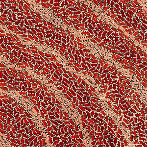 Warlukurlangu Jukurrpa (Fire country Dreaming) by Nathania Nangala Granites