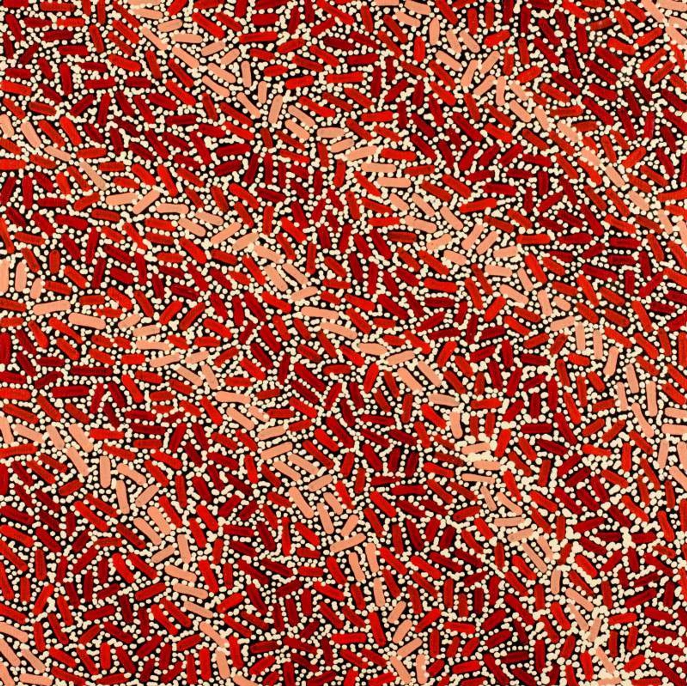 Warlukurlangu Jukurrpa (Fire country Dreaming) by Nathania Nangala Granites