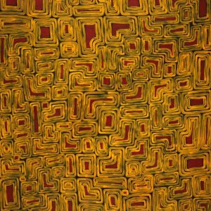 Tingari Cycle by Francisca Nampijinpa Brown