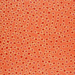 Mina Mina Jukurrpa (Mina Mina Dreaming) by Antoinette Napanangka Brown