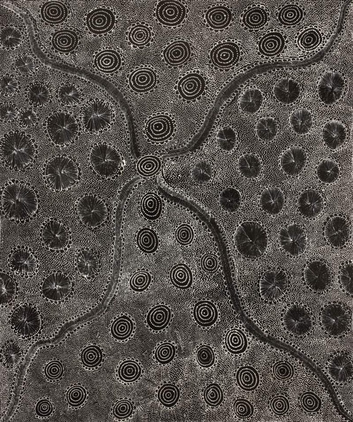 Ngapa Jukurrpa (Water Dreaming) - Mikanji by Lola Nampijinpa Brown