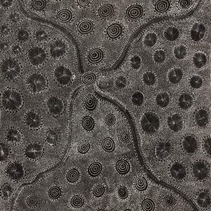 Ngapa Jukurrpa (Water Dreaming)  - Mikanji by Lola Nampijinpa Brown