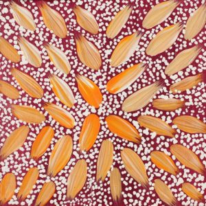 Wardapi Jukurrpa (Goanna Dreaming) - Yarripilangu by Warlukurlangu Artists