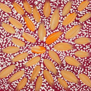 Wardapi Jukurrpa (Goanna Dreaming) - Yarripilangu by Warlukurlangu Artists