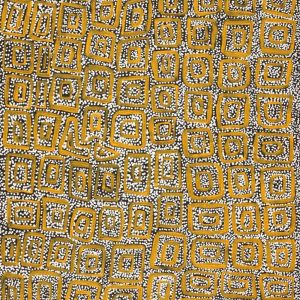 Wanakiji Jukurrpa (Bush Tomato Dreaming) by Teranie Nangala Williams