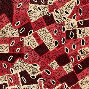 Yuparli Jukurrpa (Bush Banana Dreaming) by Marita Napanangka Marshall
