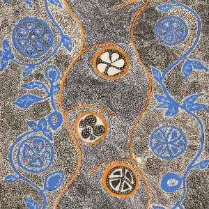 Wanakiji Jukurrpa (Bush Tomato Dreaming) by Selma Napanangka Tasman