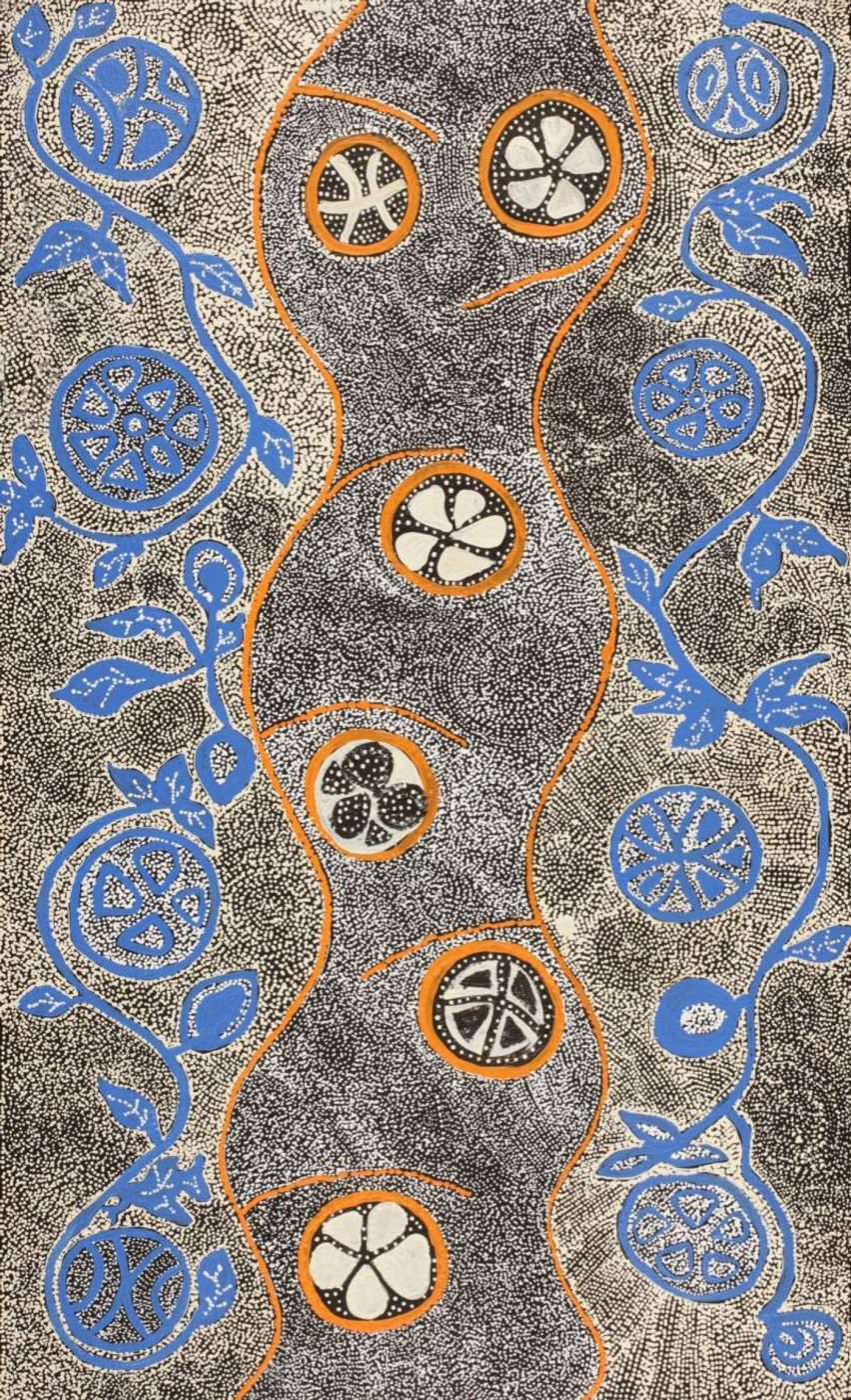Wanakiji Jukurrpa (Bush Tomato Dreaming) by Selma Napanangka Tasman