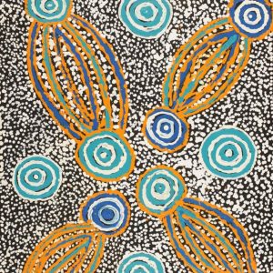 Ngapa Jukurrpa (Water Dreaming)  - Mikanji by Juliette Nampijinpa Brown