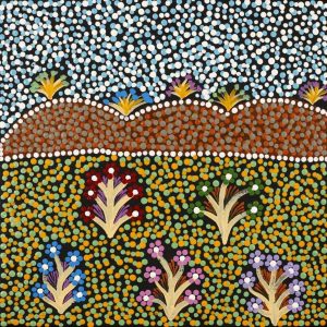 Nguru Yurntumu-wana (Country around Yuendumu) by Josalyn Pula Sandover