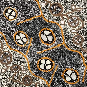Wanakiji Jukurrpa (Bush Tomato Dreaming) by Selma Napanangka Tasman