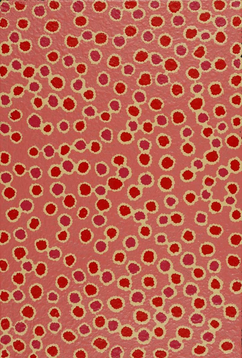 Mina Mina Jukurrpa (Mina Mina Dreaming) by Antoinette Napanangka Brown