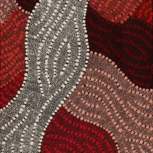 Ngapa Jukurrpa (Water Dreaming) - Puyurru by Leavannia Nampijinpa Watson