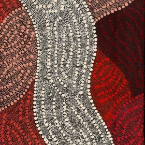 Ngapa Jukurrpa (Water Dreaming) - Puyurru by Leavannia Nampijinpa Watson