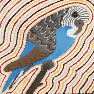 Jurlpu kuja kalu nyinami Yurntumu-wana (Birds that live around Yuendumu) by Madeleine Napangardi Dixon