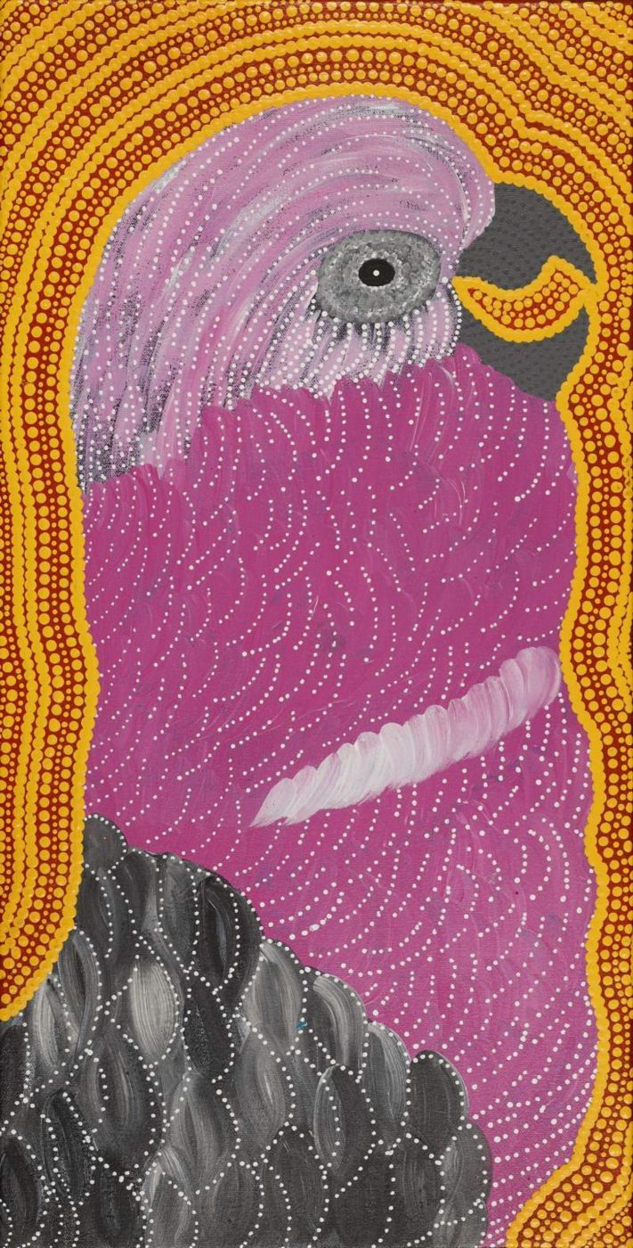 Jurlpu kuja kalu nyinami Yurntumu-wana (Birds that live around Yuendumu) by Madeleine Napangardi Dixon