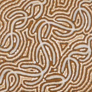Ngapa Jukurrpa (Water Dreaming)  -  Puyurru by Diandra Nangala Dixon