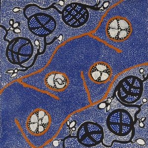 Wanakiji Jukurrpa (Bush Tomato Dreaming) by Selma Napanangka Tasman