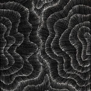 Wanakiji Jukurrpa (Bush Tomato Dreaming) by Debbie Napaljarri Brown