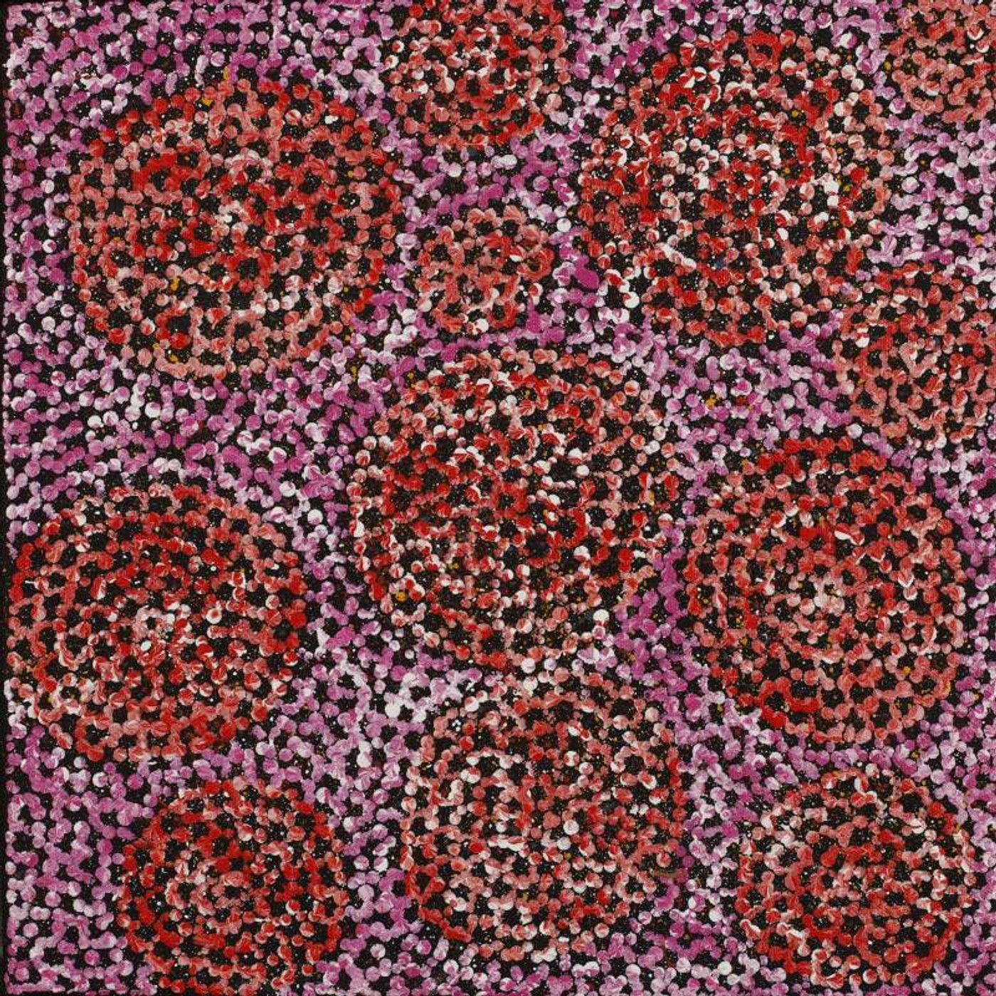 Pamapardu Jukurrpa (Flying Ant Dreaming) - Warntungurru by Vanessa Nampijinpa Brown