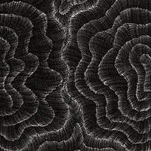 Wanakiji Jukurrpa (Bush Tomato Dreaming) by Debbie Napaljarri Brown