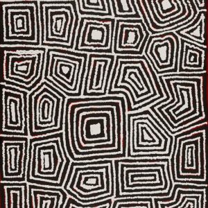 Luurnpa Jukurrpa (Kingfisher Dreaming) - Lake MacKay by Shaimaya Nampijinpa Brown