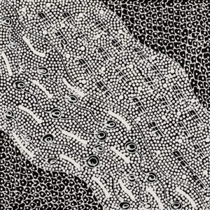 Pikilyi Jukurrpa (Vaughan Springs Dreaming) by Mary Napangardi Butcher