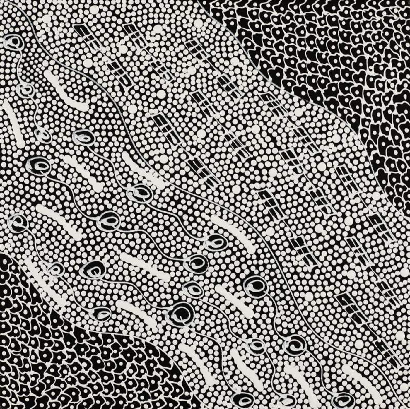 Pikilyi Jukurrpa (Vaughan Springs Dreaming) by Mary Napangardi Butcher