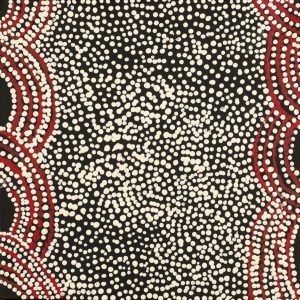 Watiya-warnu Jukurrpa (Seed Dreaming) by Katrina Nampijinpa Brown