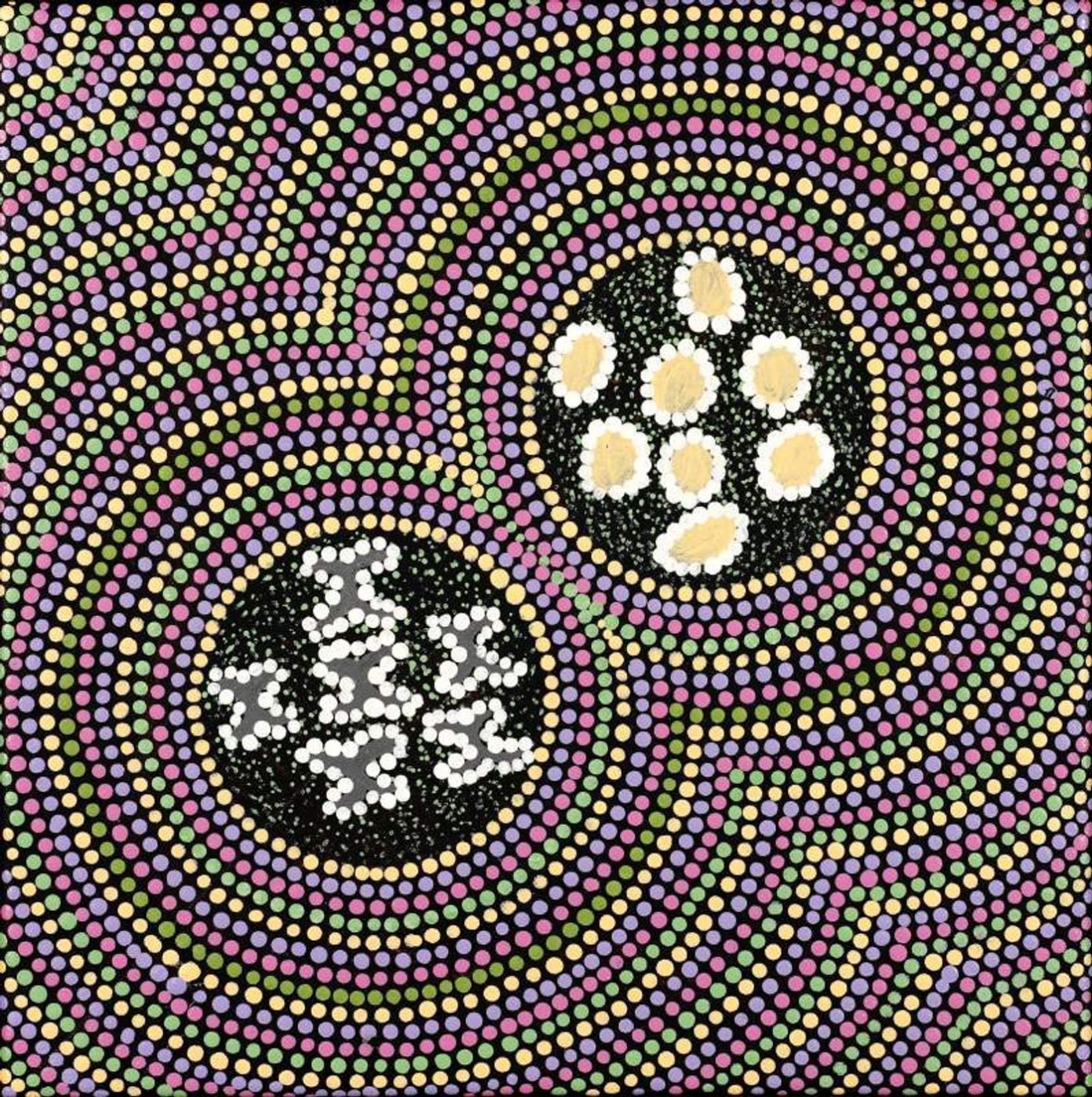 Ngatijirri Jukurrpa (Budgerigar Dreaming) by Wendy Napaljarri Kitson