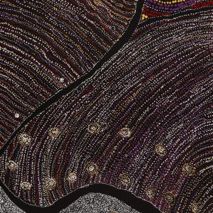 Wanakiji Jukurrpa (Bush Tomato Dreaming) by Teranie Nangala Williams