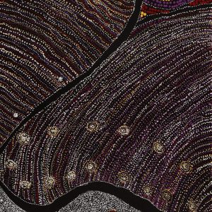 Wanakiji Jukurrpa (Bush Tomato Dreaming) by Teranie Nangala Williams