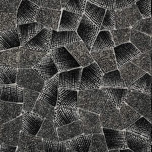 Ngalyarrpa manu Puluku Jukurrpa (Sandhill and Bullock Dreaming) by Corinne Nampijinpa Ryan