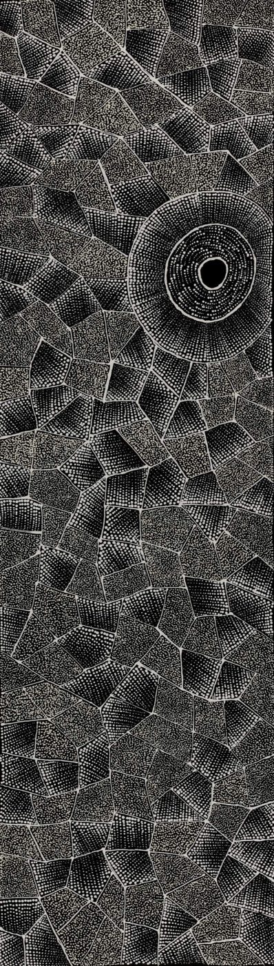 Ngalyarrpa manu Puluku Jukurrpa (Sandhill and Bullock Dreaming) by Corinne Nampijinpa Ryan