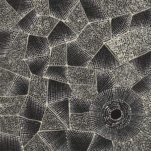 Ngalyarrpa manu Puluku Jukurrpa (Sandhill and Bullock Dreaming) by Corinne Nampijinpa Ryan