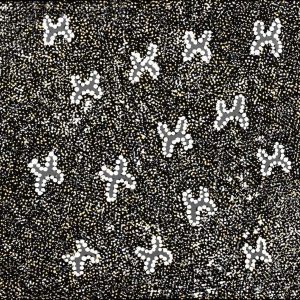 Ngatijirri Jukurrpa (Budgerigar Dreaming) by Wendy Napaljarri Kitson