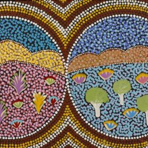 Nguru Yurntumu-wana (Country around Yuendumu) by Josalyn Pula Sandover
