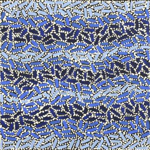 Warlukurlangu Jukurrpa (Fire country Dreaming) by Nathania Nangala Granites