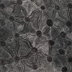 Ngapa Jukurrpa (Water Dreaming) - Mikanji by Lola Nampijinpa Brown